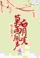 莫雨风声白月光