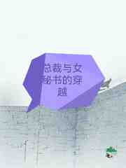 总裁与女秘书的穿越