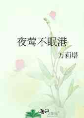 夜莺不眠港