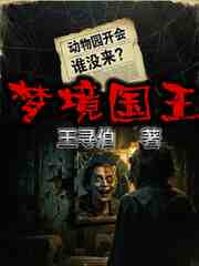 梦境国王